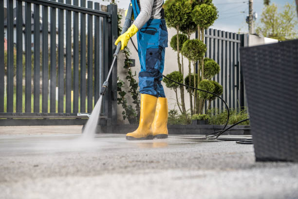 Best Window and Screen Pressure Cleaning in Salisbury, MO